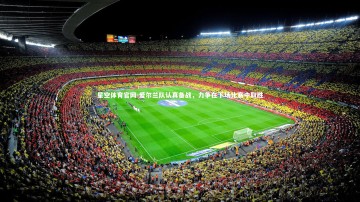 星空体育官网-爱尔兰队认真备战，力争在下场比赛中取胜