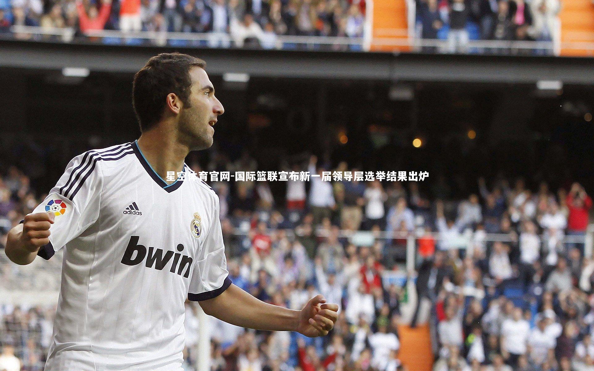 国际篮联宣布新一届领导层选举结果出炉