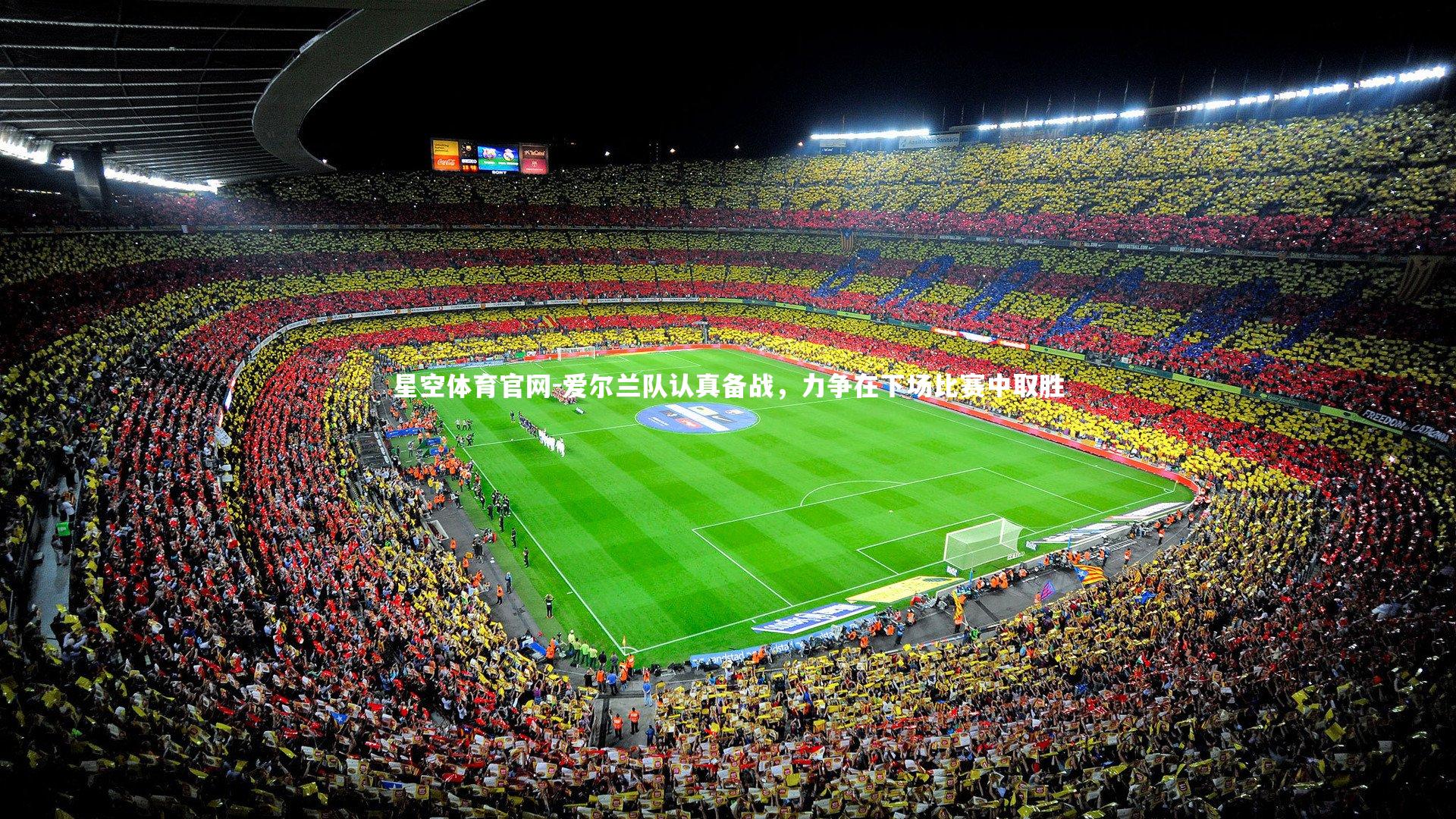 爱尔兰队认真备战,力争在下场比赛中取胜