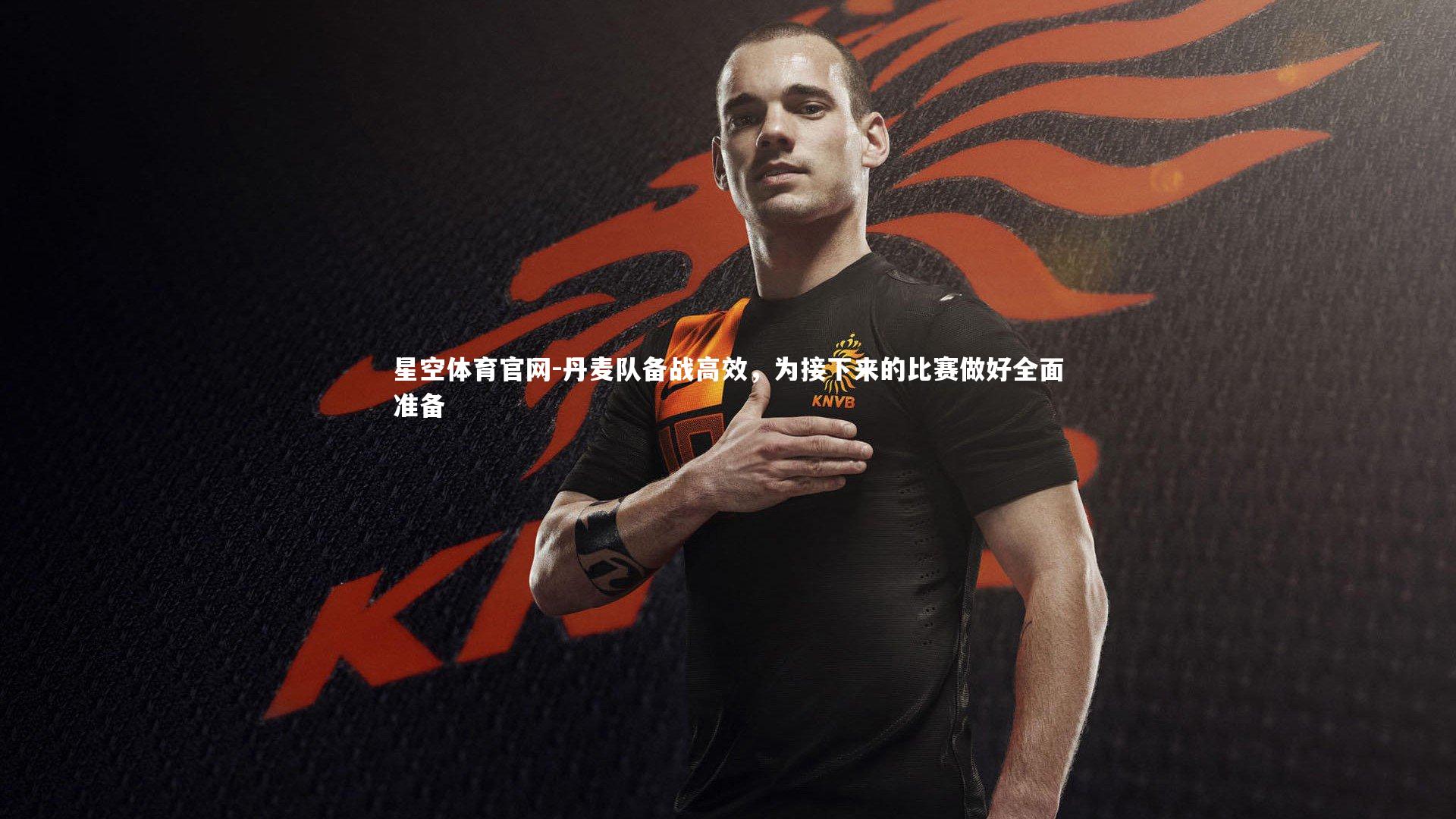 丹麦队备战高效，为接下来的比赛做好全面准备