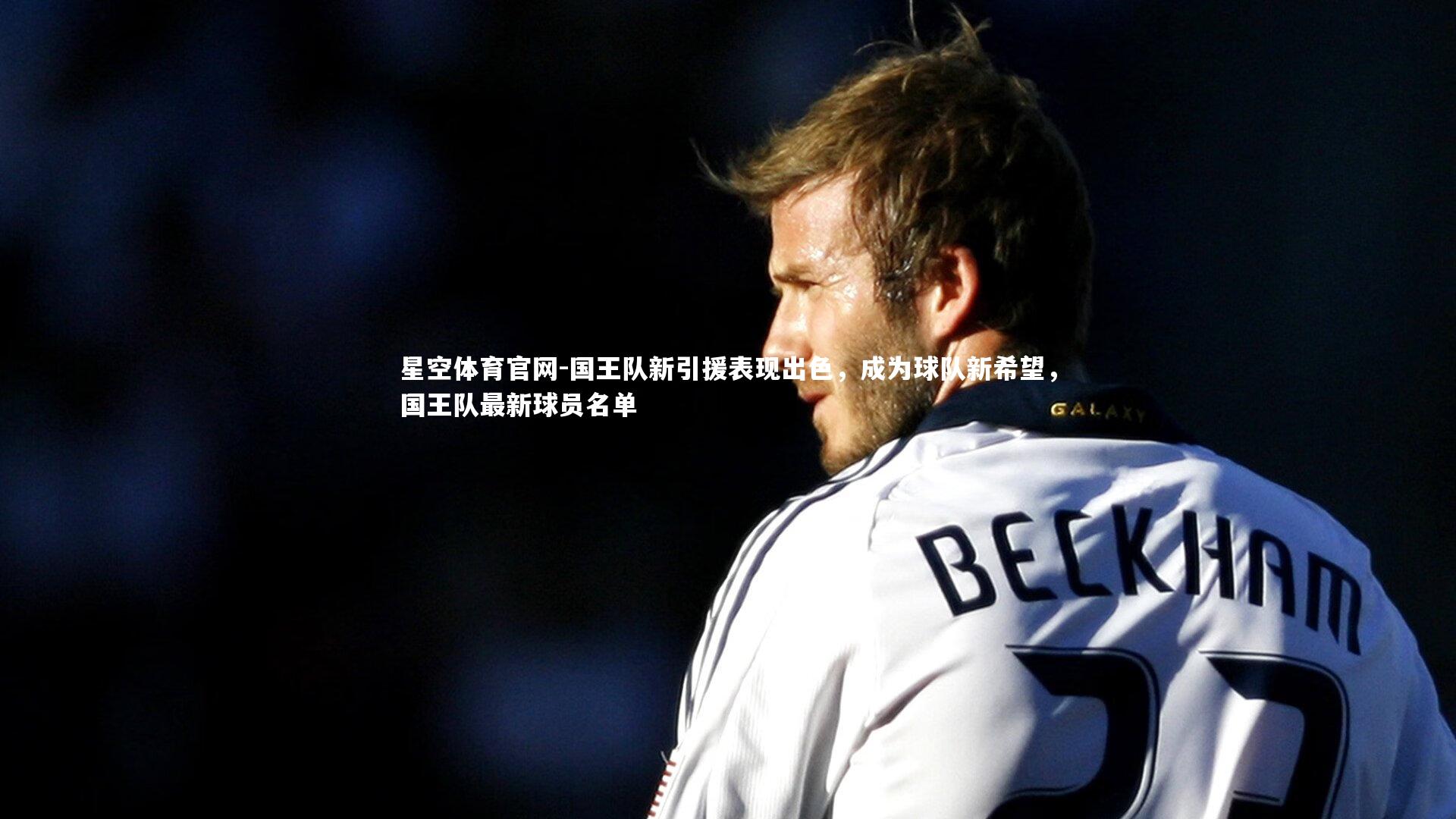 国王队新引援表现出色，成为球队新希望，国王队最新球员名单
